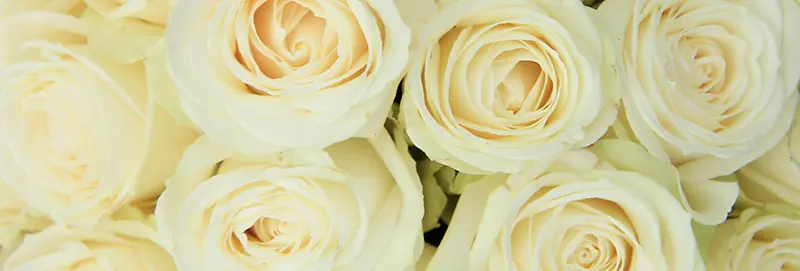 õ�廨����-������