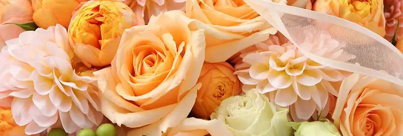 õ�廨����-������