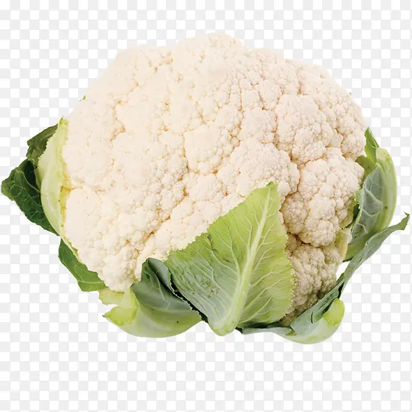 �˻�-������