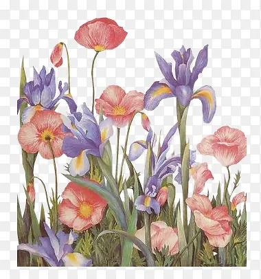 ˮ��·��С��-������