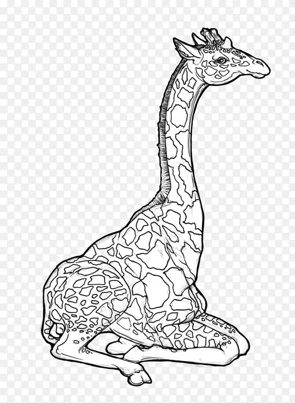 ����¹����Ұ�����ﳤ��¹-������