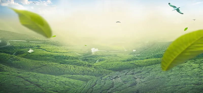 �����ϴ�-������