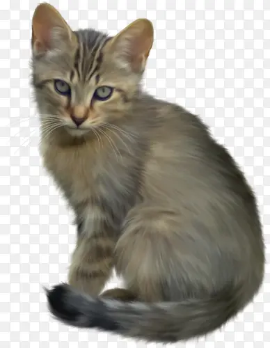 �ɰ���ɫè-������