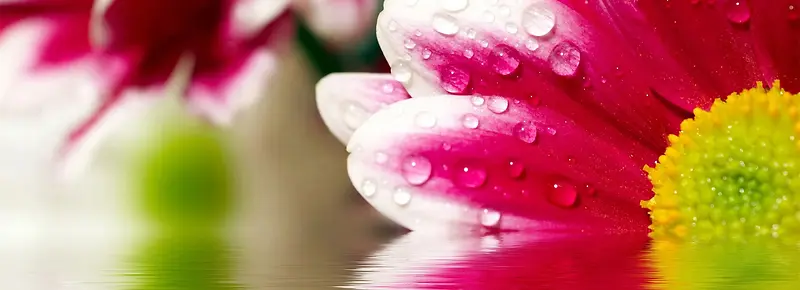 ��Լ����-������