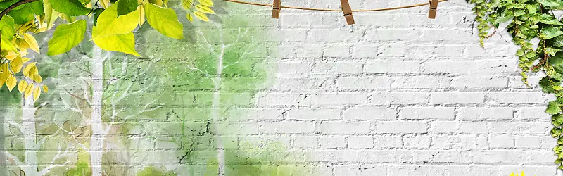 �����Լ����-������