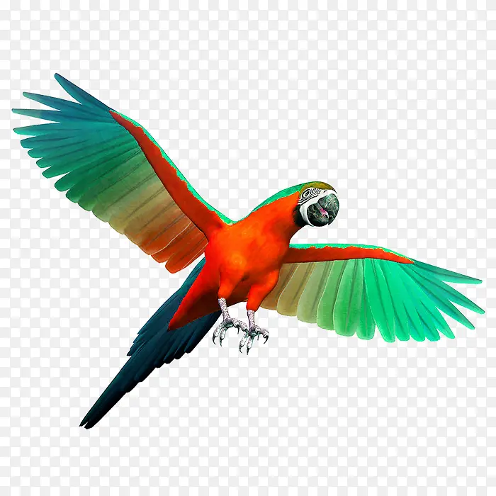 ��ɫ����-������