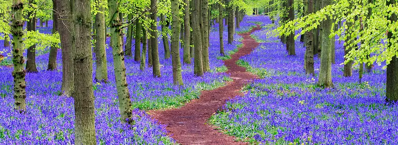 ר�ⱳ��-������