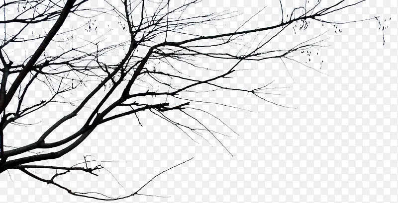 ����������ҵ-������