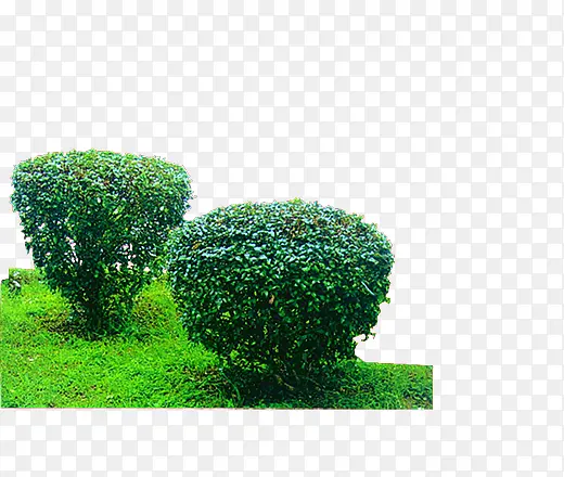 ��ɫ�羰��-������