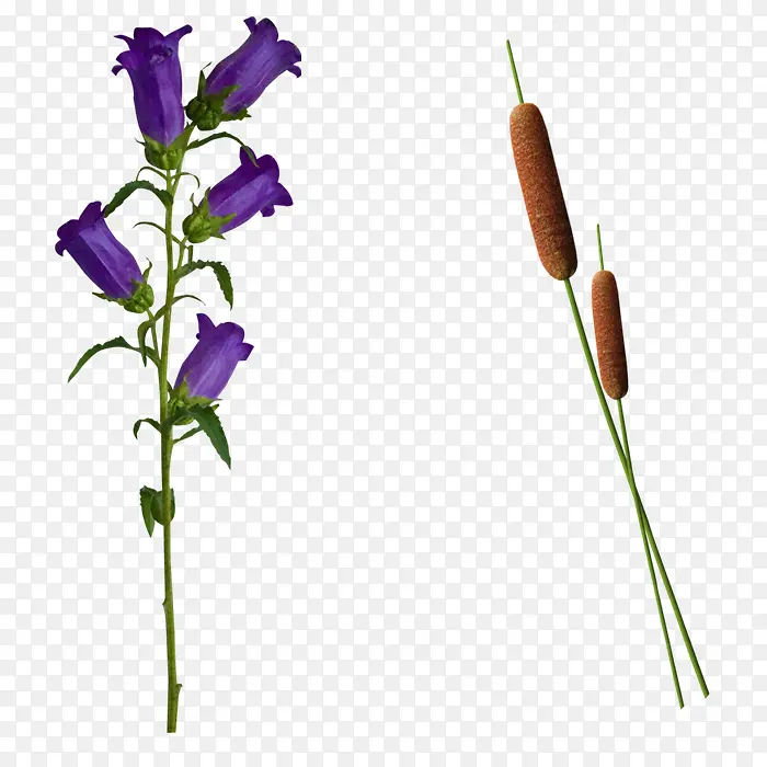 ����ˮ������-������