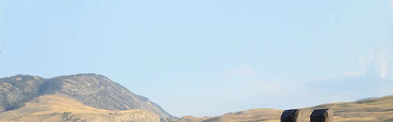 ��ձ����ز���Ȼ�����ز�-������