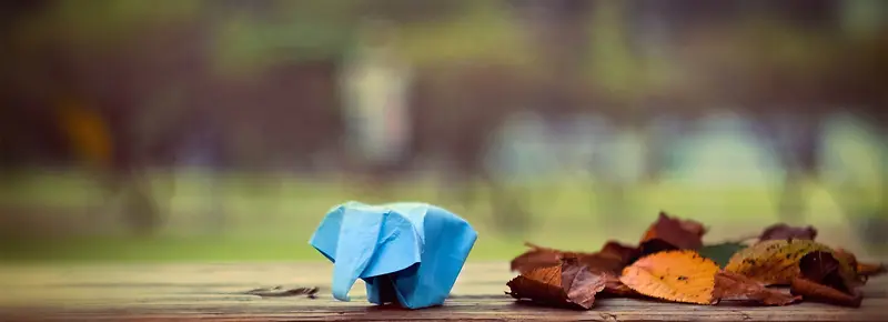 ��ֽ����-������