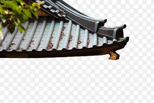 �Ƕ����������Ӱ-������