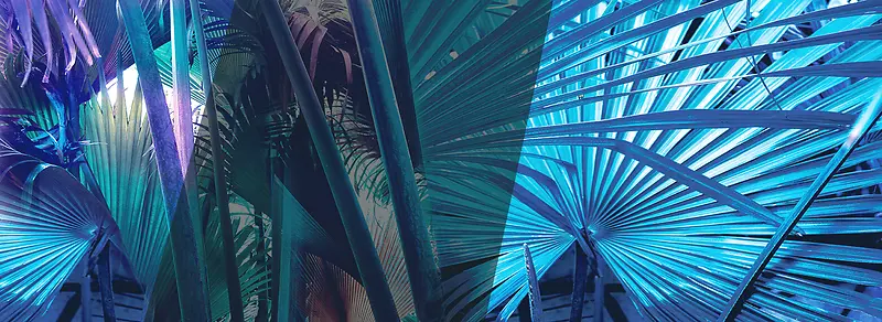 �ſ�ʱ��-������