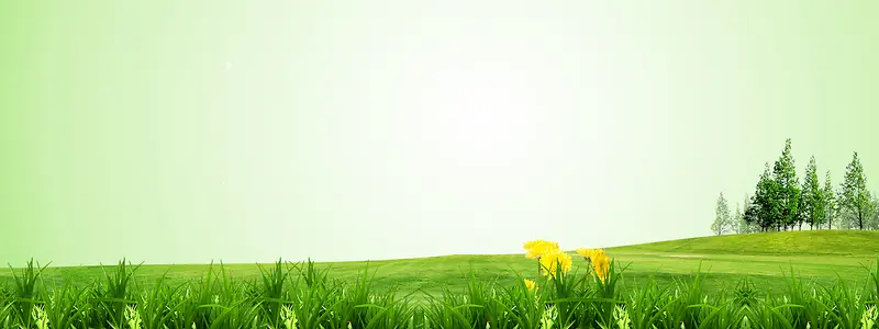 ��ƺ������-������