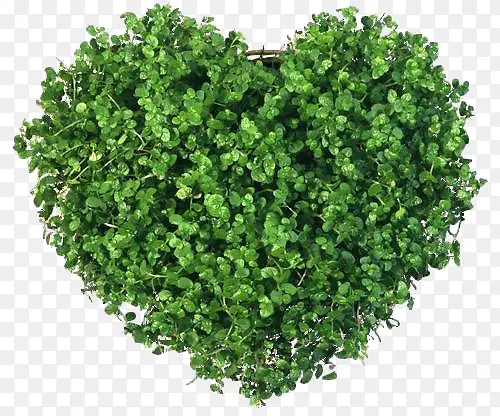 ���β� ����-������