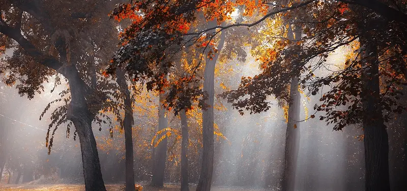 ���챳��-������