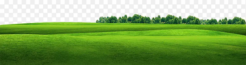 �ݵ�-������