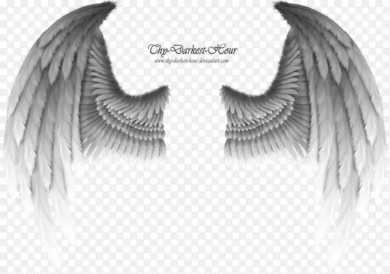 ˮţ����-�����ʹ-������