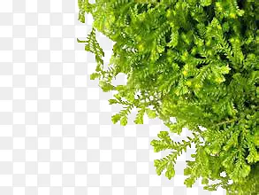 ާ��-������