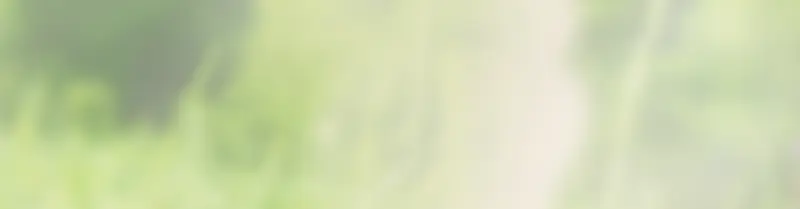 ���ⱳ��-������