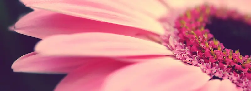 ���ⱳ��-������