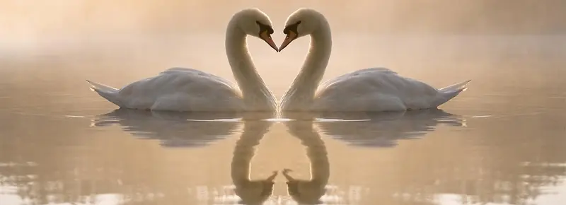 ���ⱳ��-������