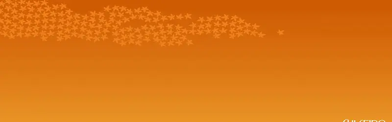 ���ⱳ��-������