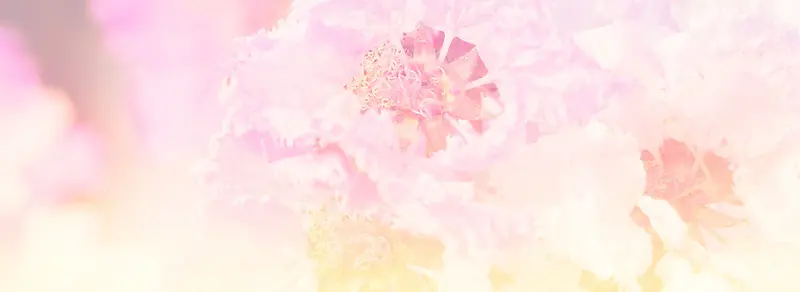 ���ⱳ��-������