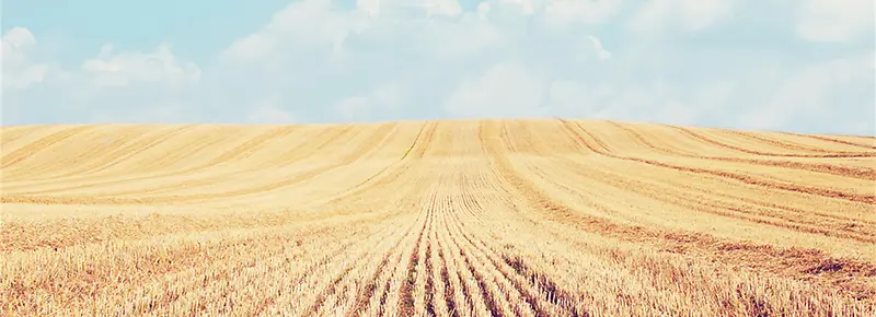 ���ⱳ��-������