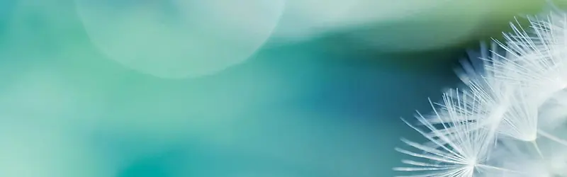 ���ⱳ��-������