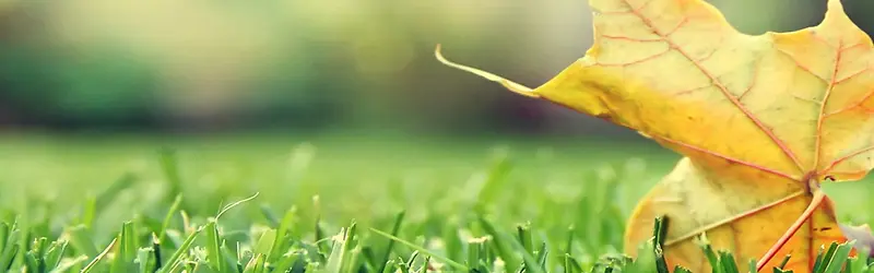 ���ⱳ��-������