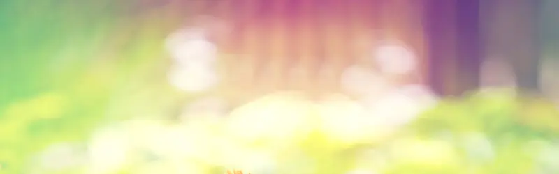 ���ⱳ��-������