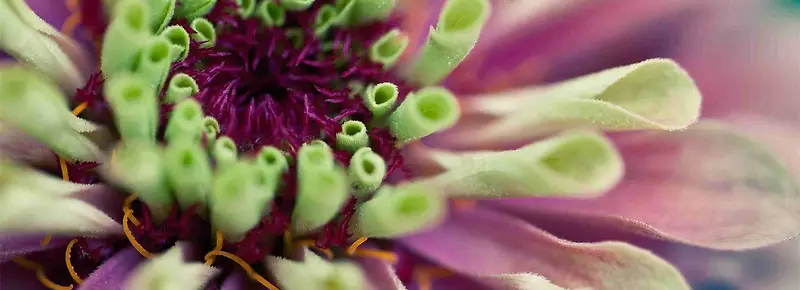 ���ⱳ��-������