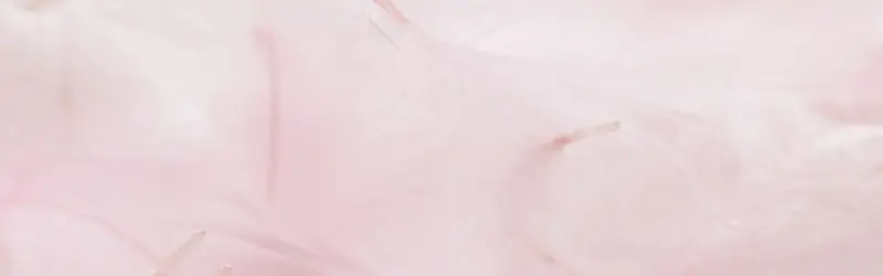 ���ⱳ��-������