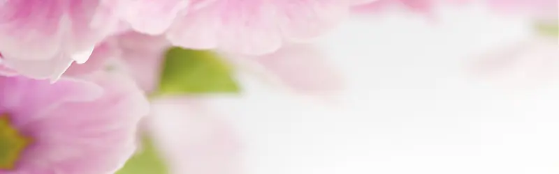 ���ⱳ��-������