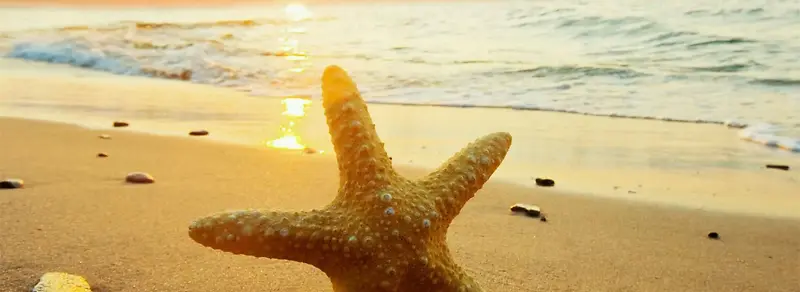 ���ⱳ��-������