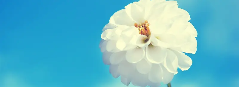 ���ⱳ��-������