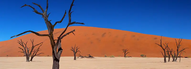 ���ⱳ��-������