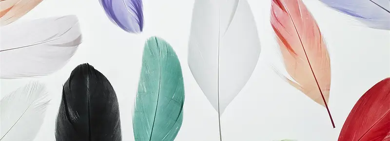 ���ⱳ��-������