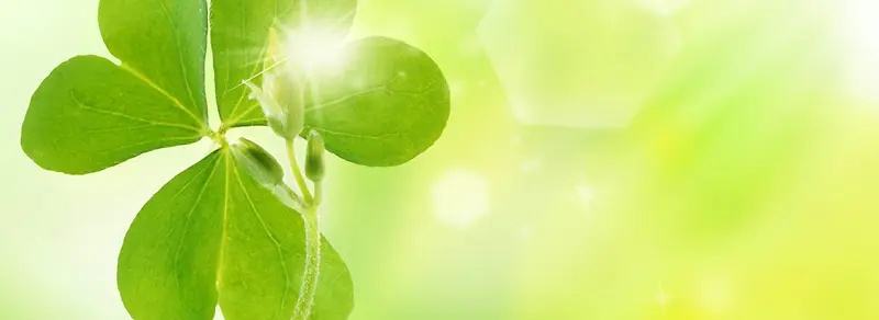 ���ⱳ��-������