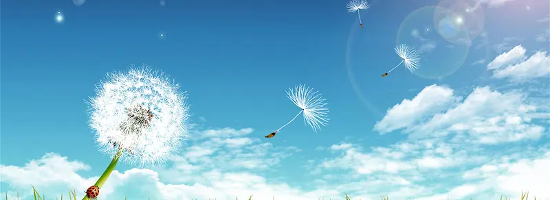 ���ⱳ��-������