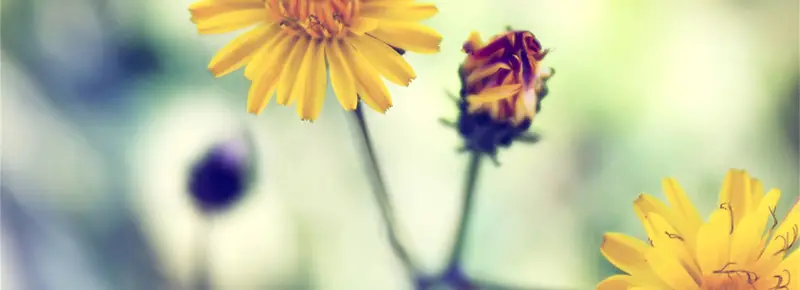 ���ⱳ��-������