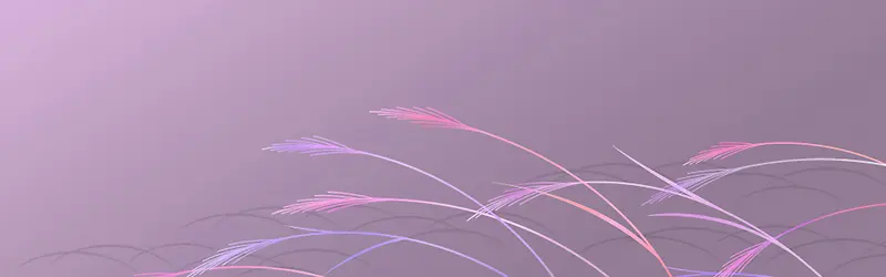 ���ⱳ��-������