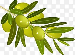 �����߲����-������