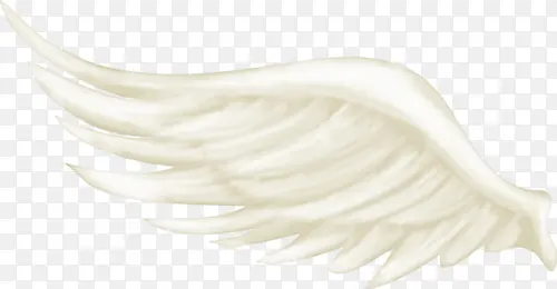 һ֧��������ĳ��-������