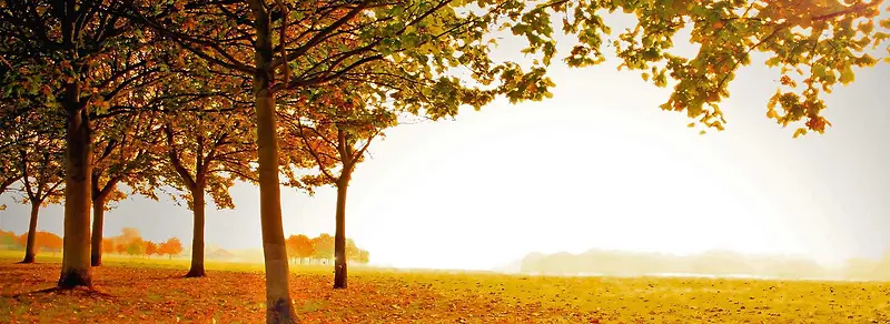 С��-������