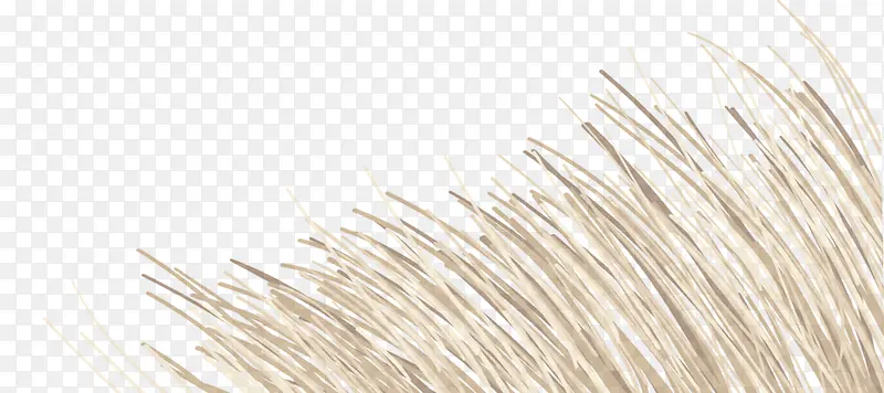 ʸ����ͨ�Ʋ�-������