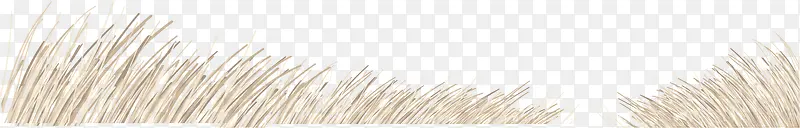 ʸ����ͨ�Ʋݶ�-������