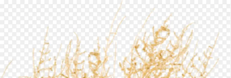 ��ɫ��֦װ��-������